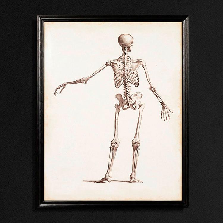 Картина-принт Скелет 2 VM Skeleton Pair 2