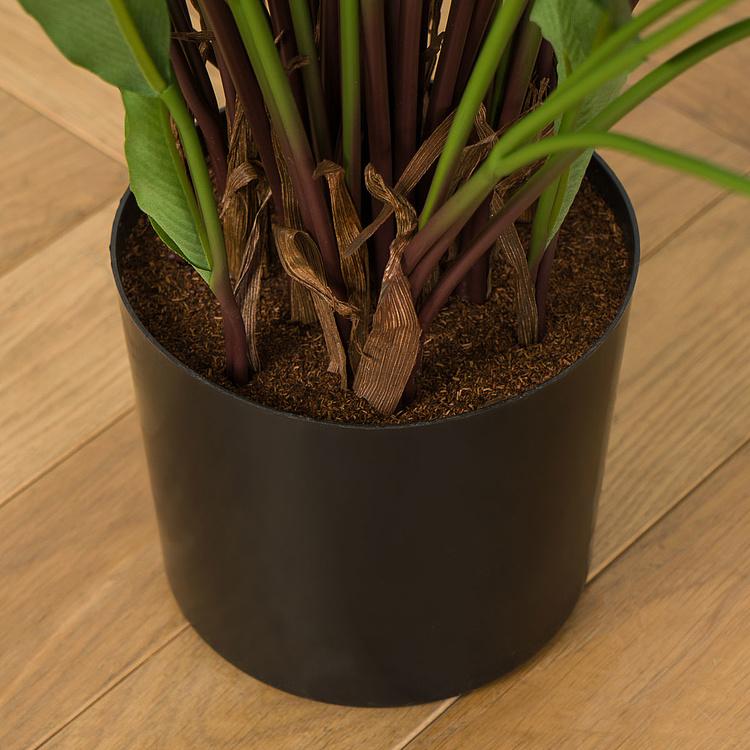 Искусственная калатея Kalatea 75 cm