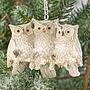 Ёлочная игрушка Owls On Twig Cream 5,5 cm