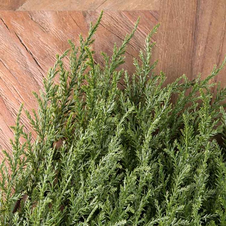 Искусственное растение Кипарис Mat Plastic Cypress Green 75 Leaves