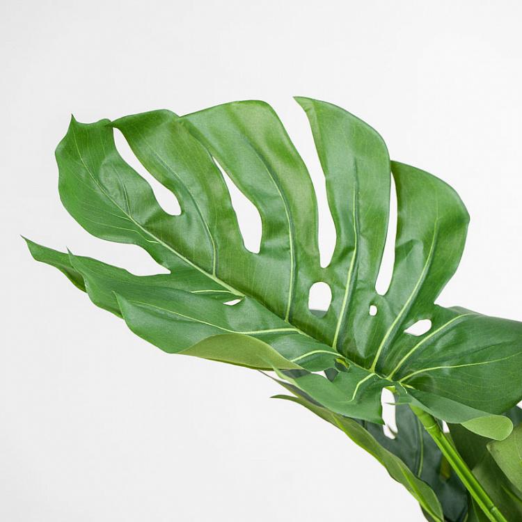 Искусственная монстера на стволе Monstera Tree Trunk 150 cm