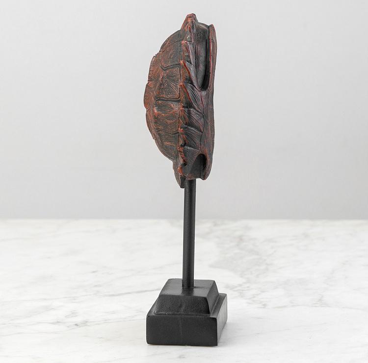 Статуэтка Панцирь черепахи на подставке Turtle Shell On Stand