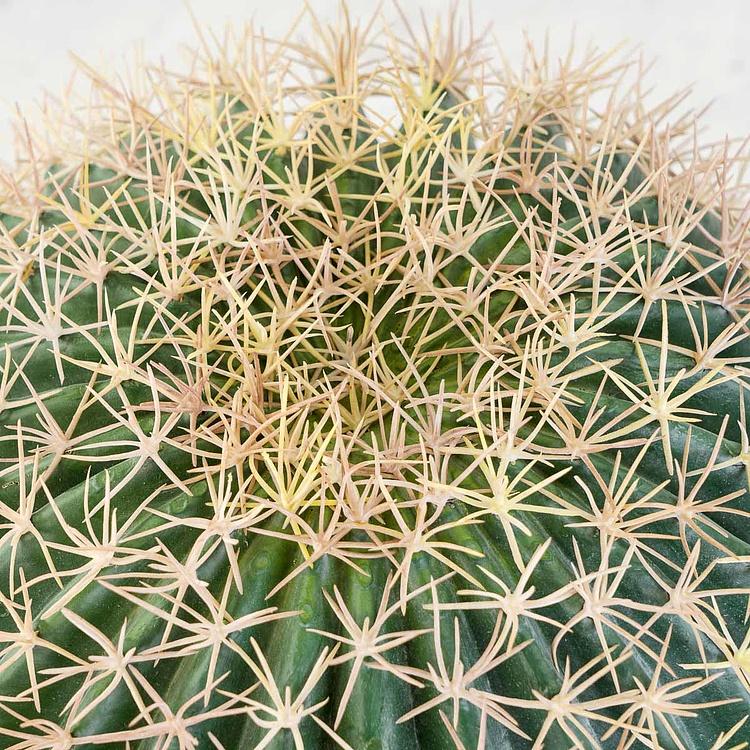 Искусственный кактус Баррель 47 см Barrel Cactus 47 cm