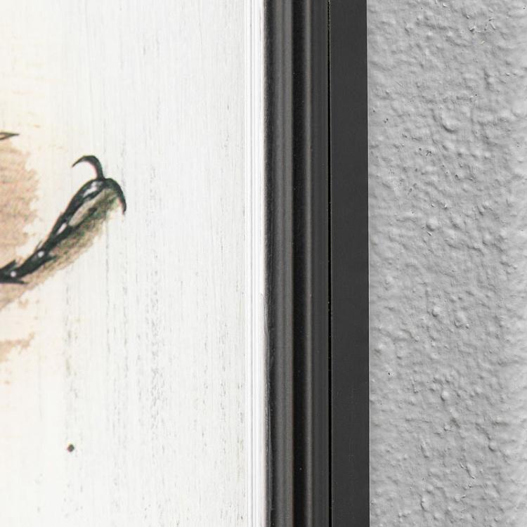 Картина-принт Насекомое Insect Glass Frame