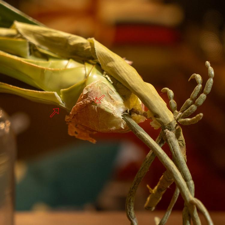 Искусственная Орхидея Цимбидиум белая дисконт Orchidee Cymbidium White 80 cm discount