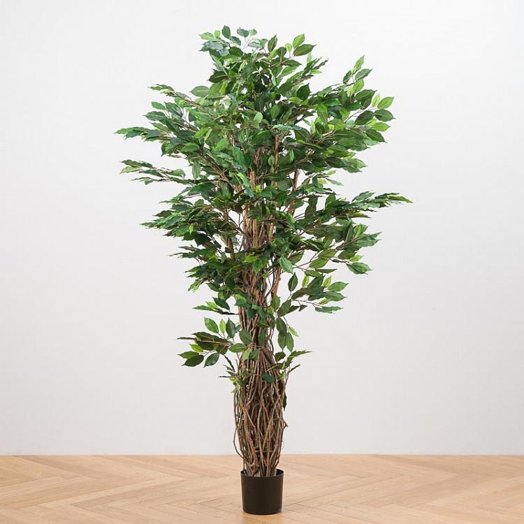Искусственный фикус Лиана Де люкс, M De Luxe Ficus Liana 210 cm