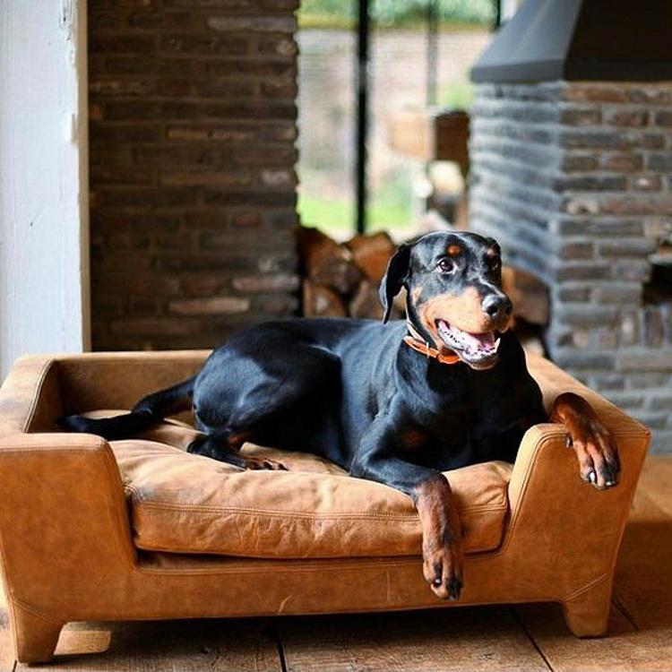 Коричневый диван для собак/кошек Массимо, L Massimo Pet Bed Large, Brogan Brown