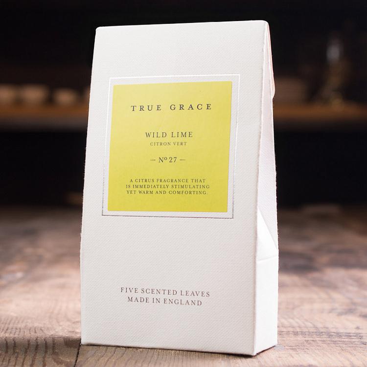 Ароматизатор в авто Дикий Лайм Scented Leaves Wild Lime