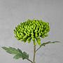 Искусственный цветок Shamrock Chrysanthemum Green 49 cm