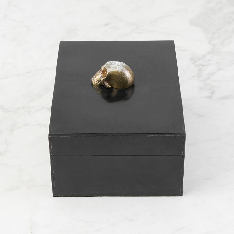 Шкатулка для украшений с черепом на крышке Skull On Lid Box