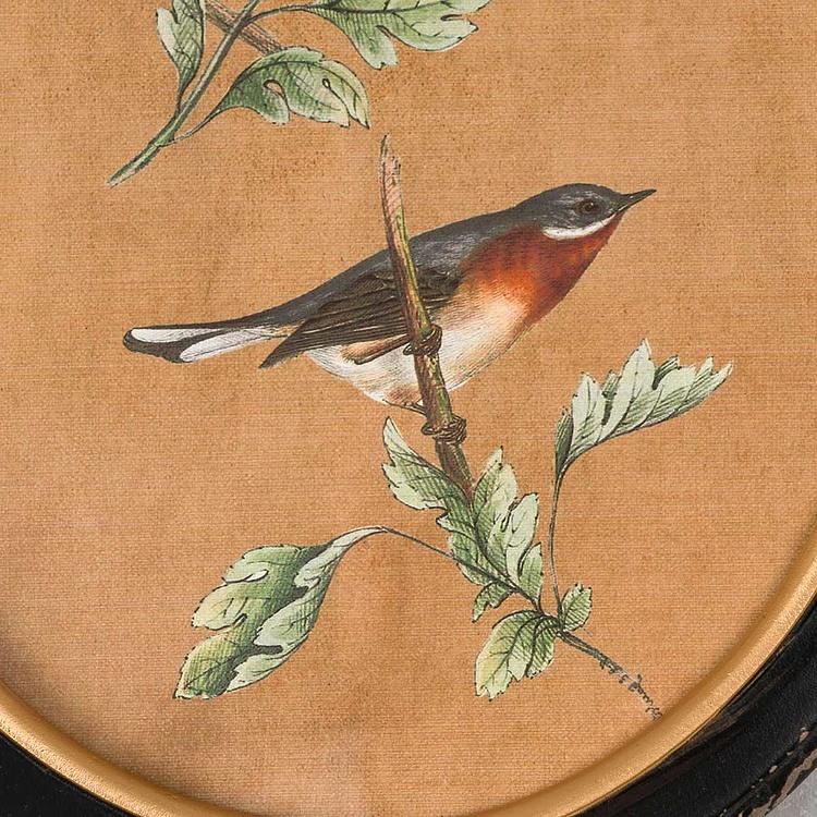 Картина-принт диптих Птицы Филомены Set Of 2 Oval Frames With Birds Philomene