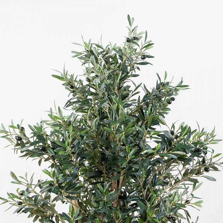 Искусственная олива Твист с плодами, XL Twist Olive With Fruits 170 cm