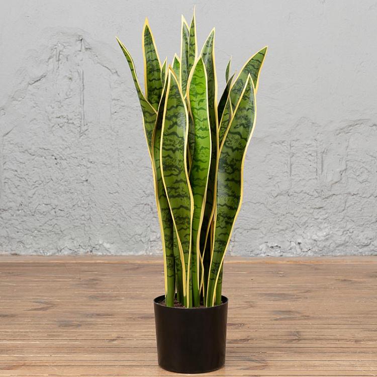 Искусственный куст сансевиерии Sansevieria Bush 80 cm