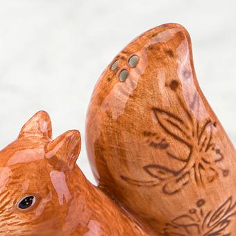 Набор для специй Set Of 2 Salt And Pepper Squirrels Flowery Tail