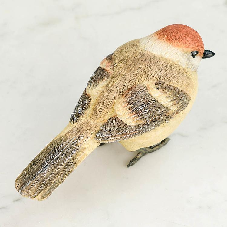 Статуэтка Сказочная птица Bird With Metal Feets