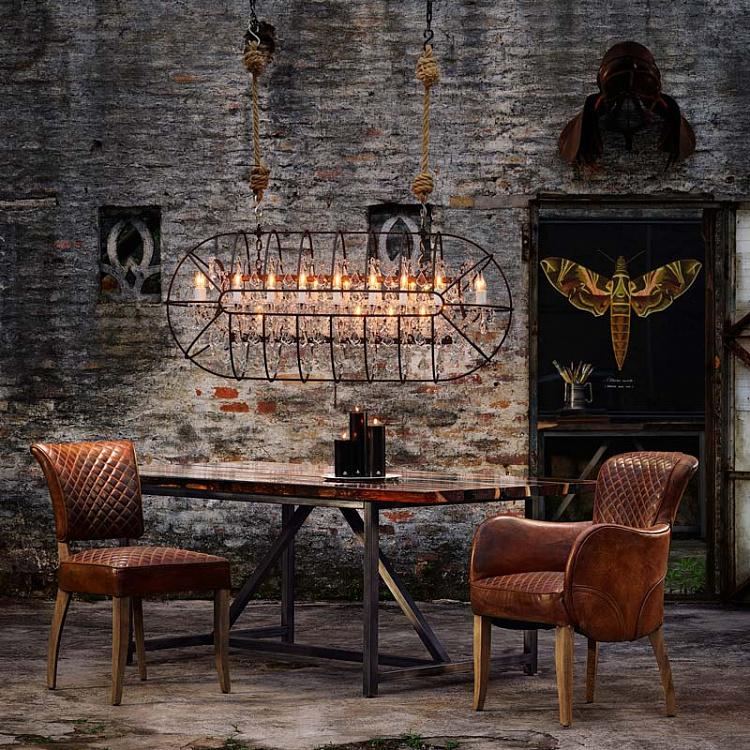 Картина-принт Коричневая Моль, чёрный фон Entomology Brown Flat Moth