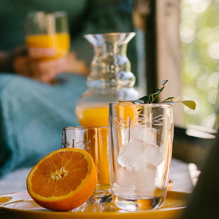 Высокий стакан для коктейля Стрекозы Libellules Long Drink