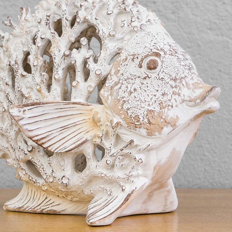 Статуэтка коралловая Рыба-ангел Coral Look Angelfish White