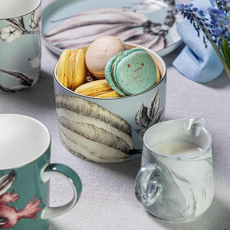 Голубая ёмкость для хранения с карамболой Экзо Exo Box Carambola Blue