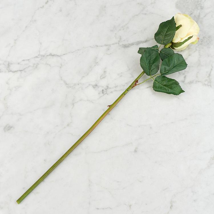 Искусственная роза Джулия бледно-персиковая с жёлтым Julia Rose Pale Peach With Yellow 53 cm