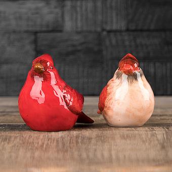 Набор для специй Red Birds Salt And Pepper