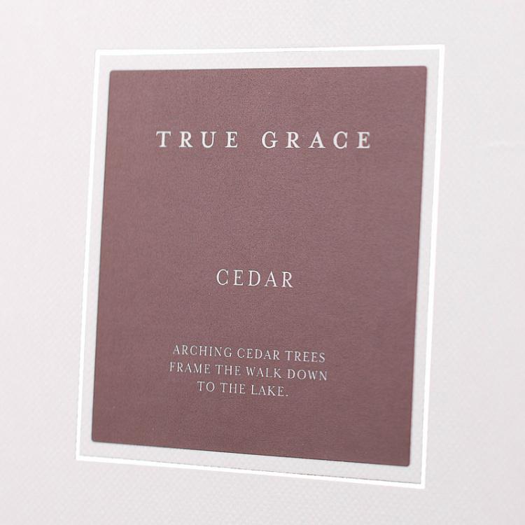 Аромадиффузор набор (палочки, жидкость в бутылочке) Кедр, 200 мл Small Reed Diffuser Cedar 200 ml