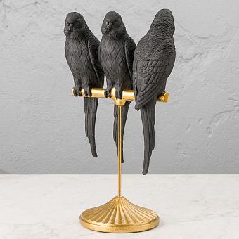 Black Parrots On Golden Stand