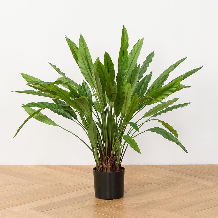 Искусственная калатея Kalatea 75 cm