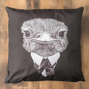 Cushion Ostrich