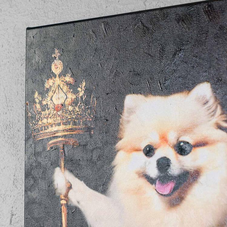 Картина Шпиц 1, холст, акрил Canvas Acrylic Painting Pomeranian 1