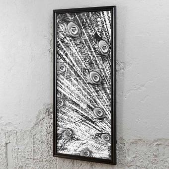 Animal Peacock Black White 1 Left