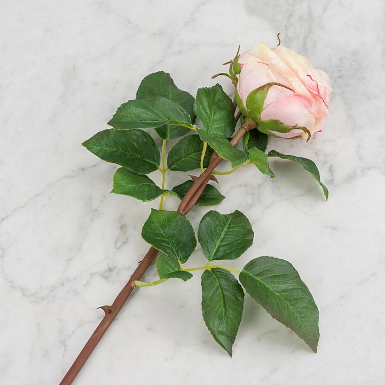 Искусственная роза Дэвид Остин кремово-розовая с лаймовым David Austin Rose Creamy Pink With Lime 50 cm