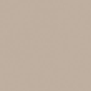 стекло Bronze Glass