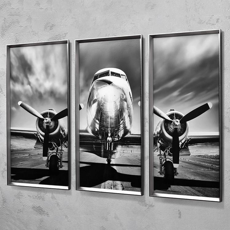 Фото-принт триптих в серебристой раме Аэроплан Set Of 3 Plane, Pewter Frame