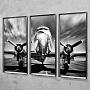 Фото-принт триптих Set Of 3 Plane, Pewter Frame