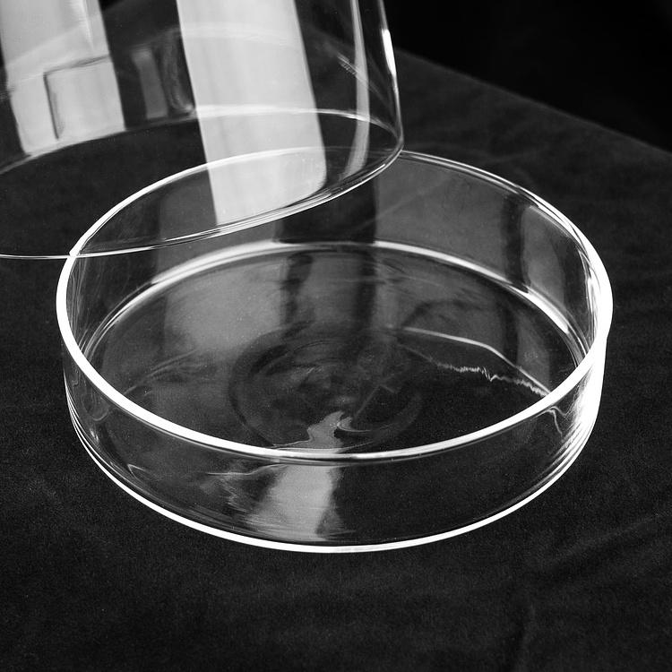 Стеклянный клош с основанием и птицей Glass Dormer With Bird