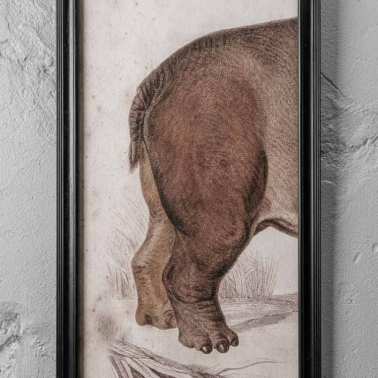 Картина-принт триптих Гиппопотам Set Of 3 Nature Hippo