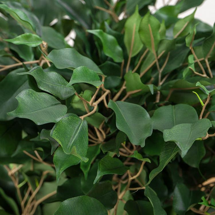 Искусственный фикус Бенджамина карликовый многоствольный Undersized Multi Barreled Ficus Benjamina 100 cm