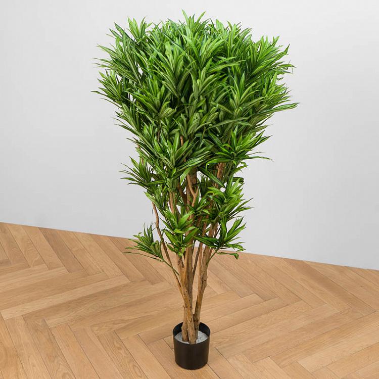 Искусственная ямайская драцена Рефлекса Jamaica Dracaena Reflexa 145 cm