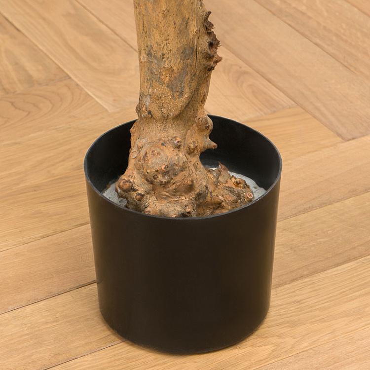 Искусственная олива Форест с плодами Forest Olive With Fruits 170 cm