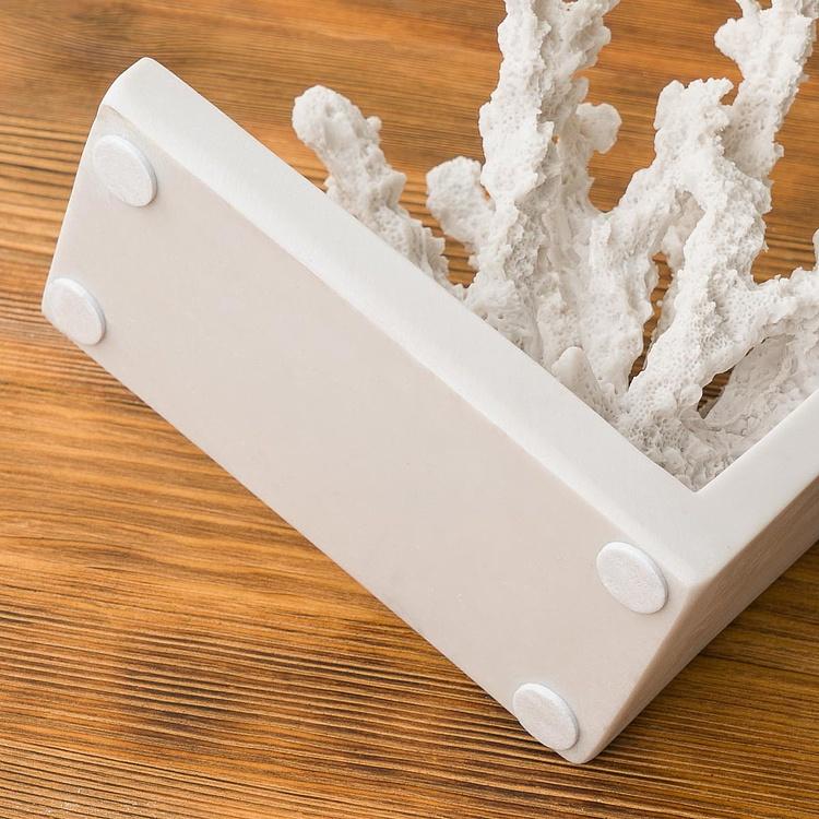 Набор из двух держателей для книг Кораллы Bookend Corals