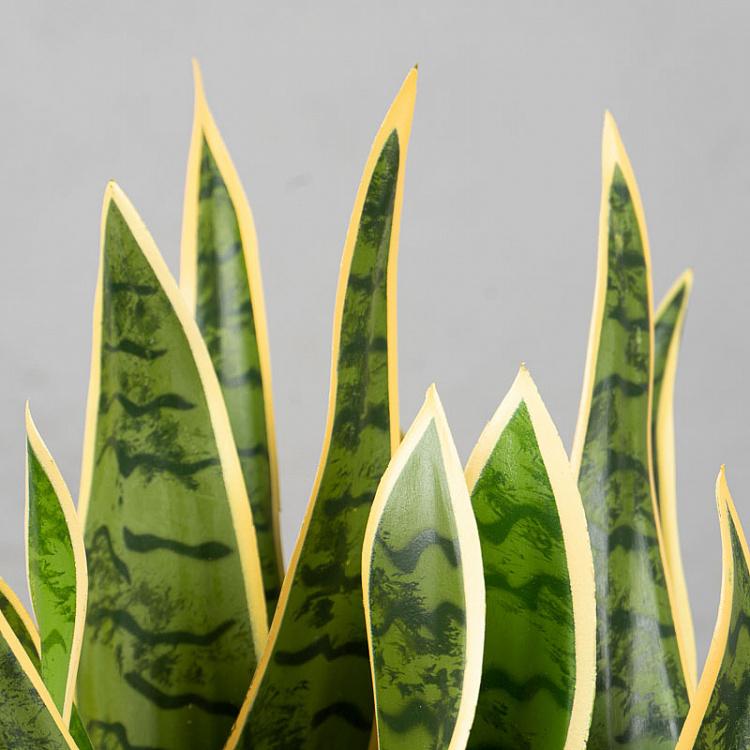 Искусственный куст сансевиерии Sansevieria Bush 80 cm