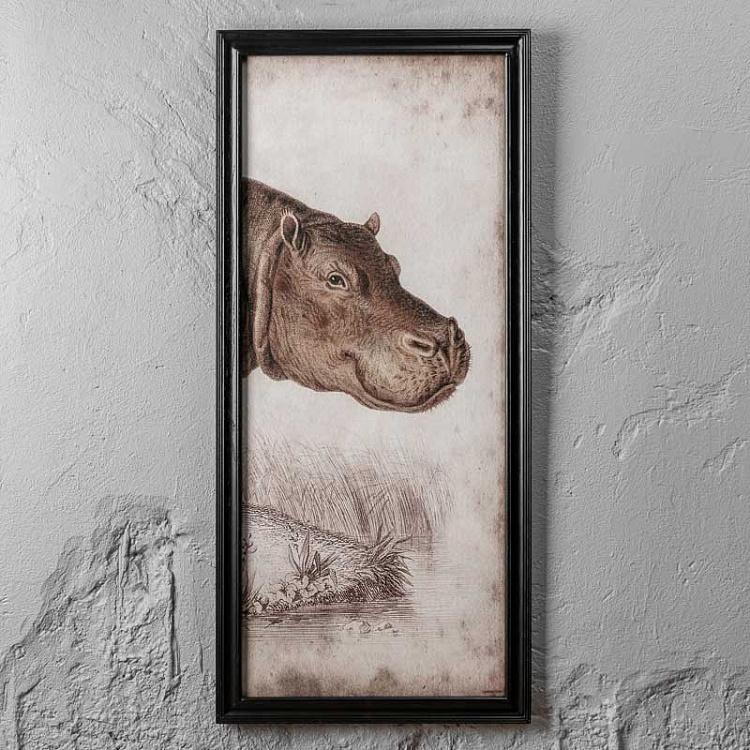 Картина-принт триптих Гиппопотам Set Of 3 Nature Hippo