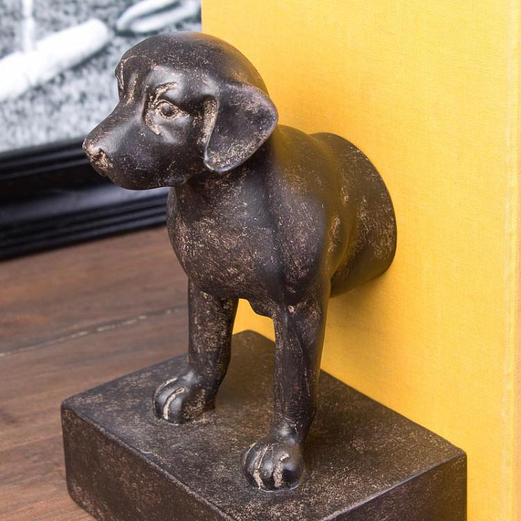 Набор из двух держателей для книг Гончая Book Ends Beagle