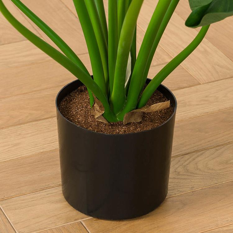 Искусственная кустовая алоказия Калидора, M Calidora Alocasia Bush 75 cm