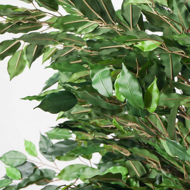 Искусственный фикус Лиана Де люкс, L De Luxe Ficus Liana 180 cm