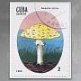 Фотография в рамке Amanita Citrina, Cuba Postage Stamp