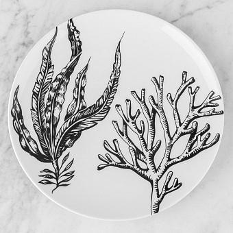 Underwater World Plate