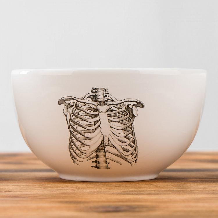 Набор из трёх пиал Естественные науки Set Of 3 Bowls Natural Sciences