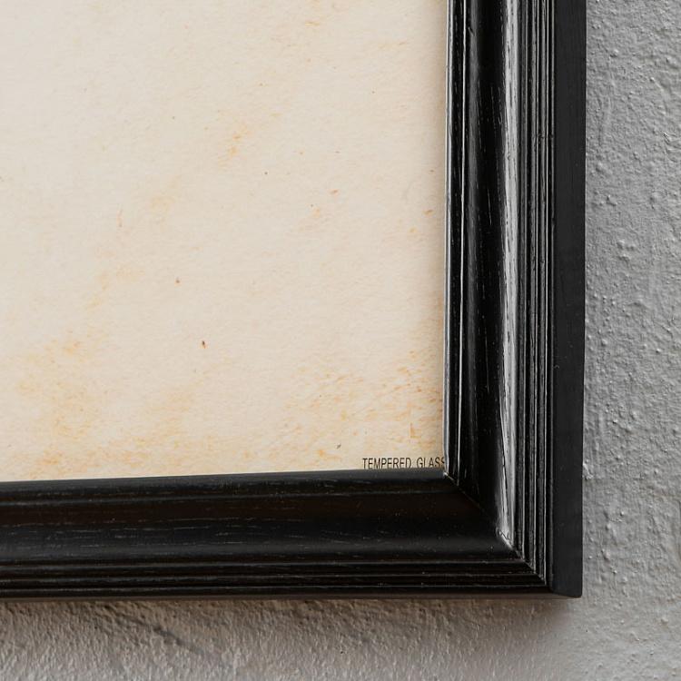 Картина-принт Слон Nature Elephant